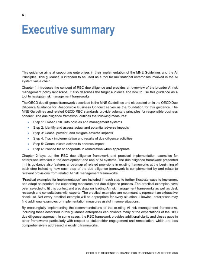 OECD经合组织：2026年负责任人工智能（AI）尽职调查指南报告（英文版）_第8页