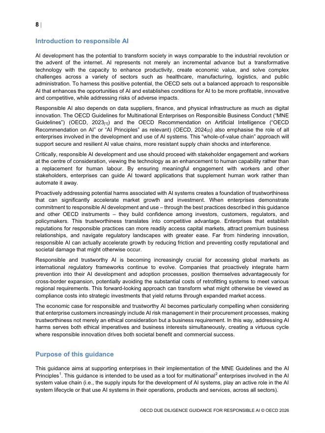 OECD经合组织：2026年负责任人工智能（AI）尽职调查指南报告（英文版）_第10页