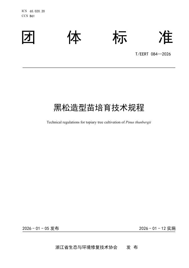 T/EERT 084-2026 黑松造型苗培育技术规程