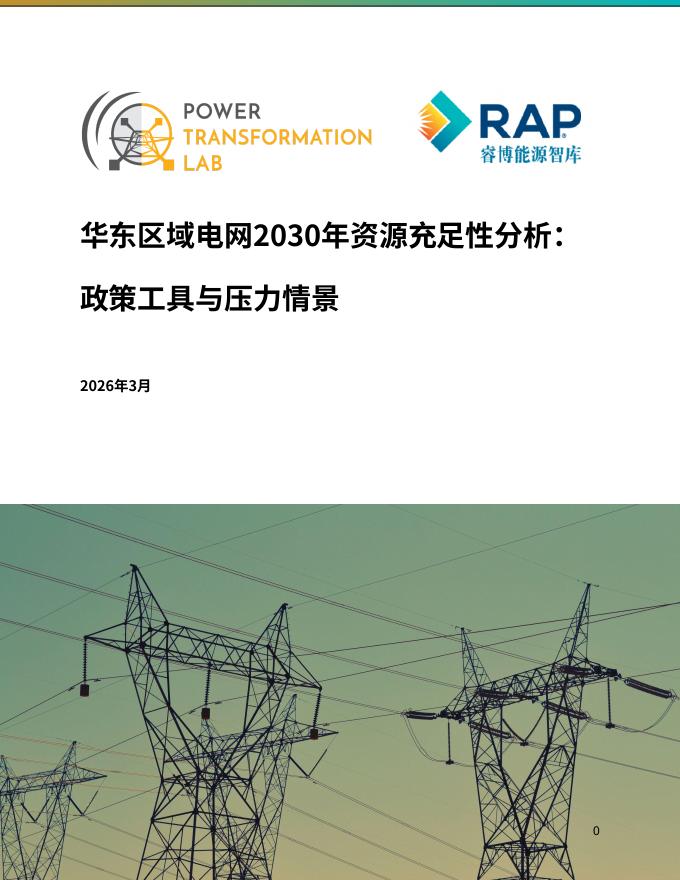 睿博能源：华东区域电网2030年资源充足性分析报告：政策工具与压力情景