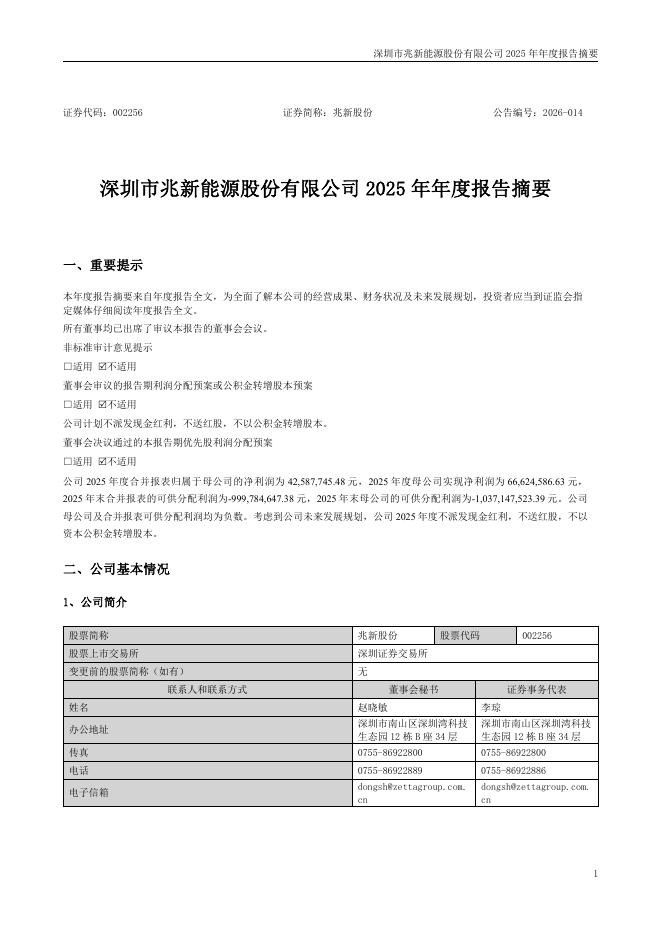 002256-兆新股份：2025年年度报告摘要