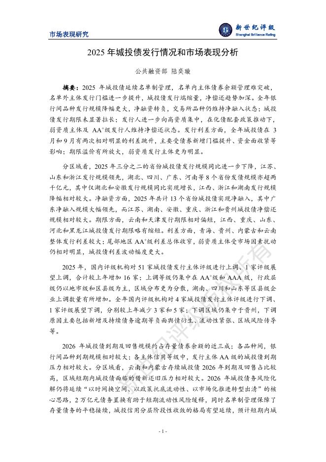 新世纪平级：2025年城投债发行情况和市场表现分析报告