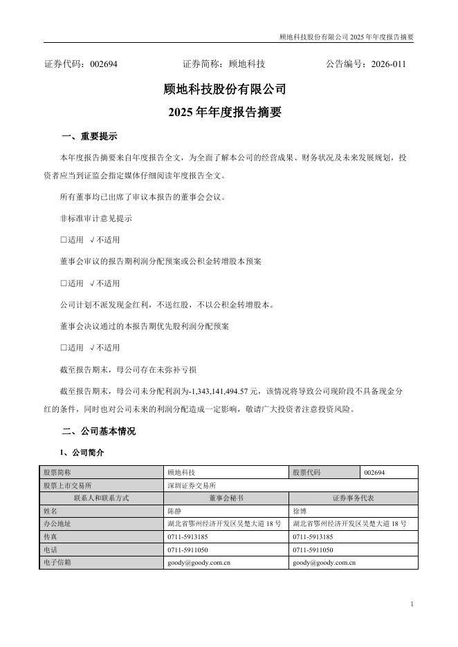 002694-顾地科技：2025年年度报告摘要