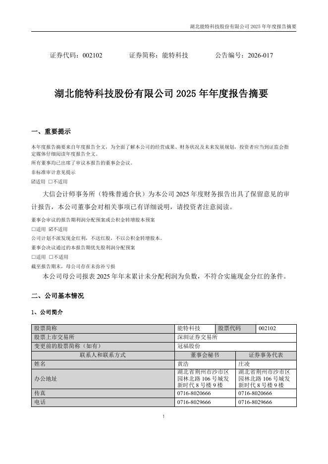 002102-能特科技：2025年年度报告摘要