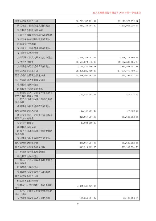 000858-五粮液：2025年第一季度报告(更新后)_第9页