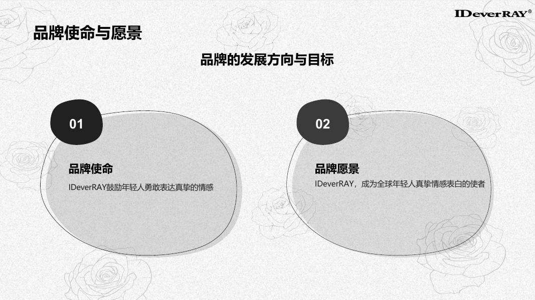 IDeverRAY服装品牌手册_第7页