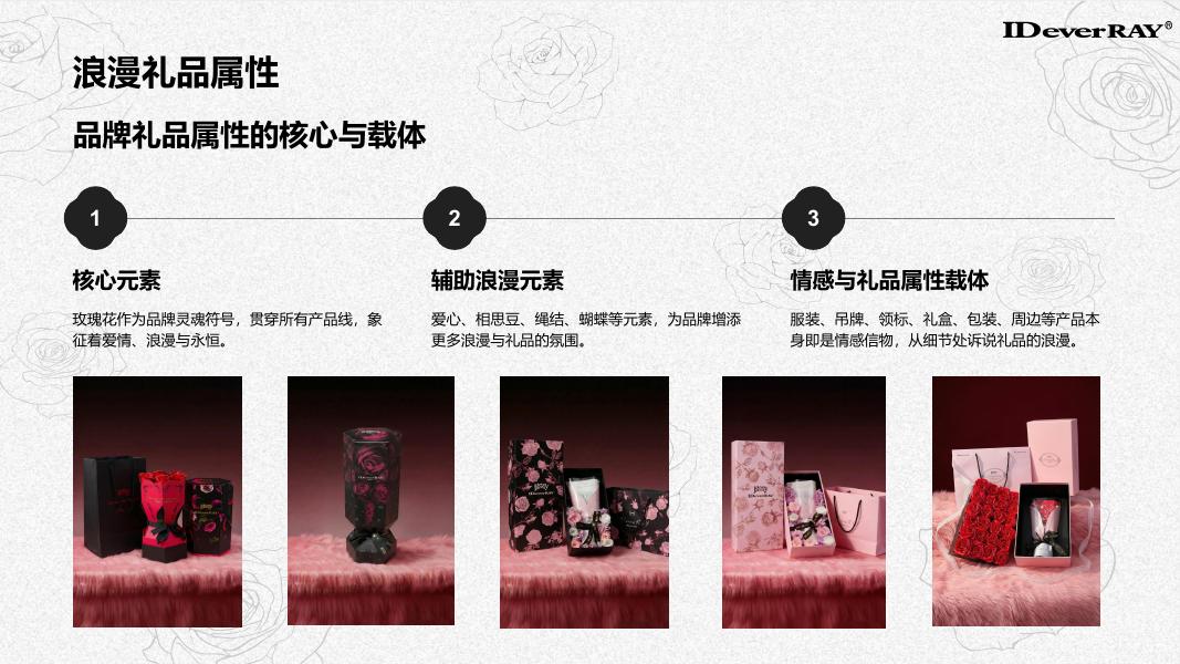 IDeverRAY服装品牌手册_第9页