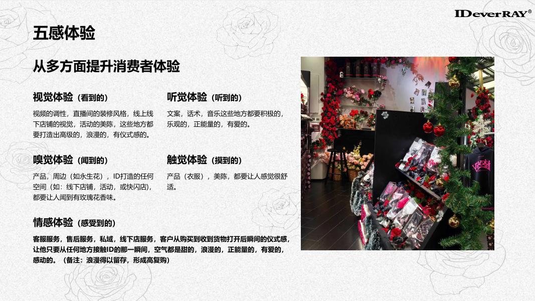 IDeverRAY服装品牌手册_第10页