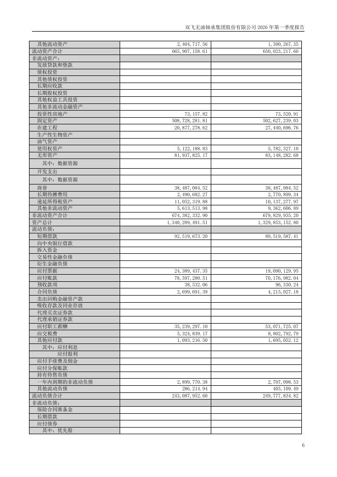 300817-双飞集团：2026年第一季度报告(更正后)_第6页