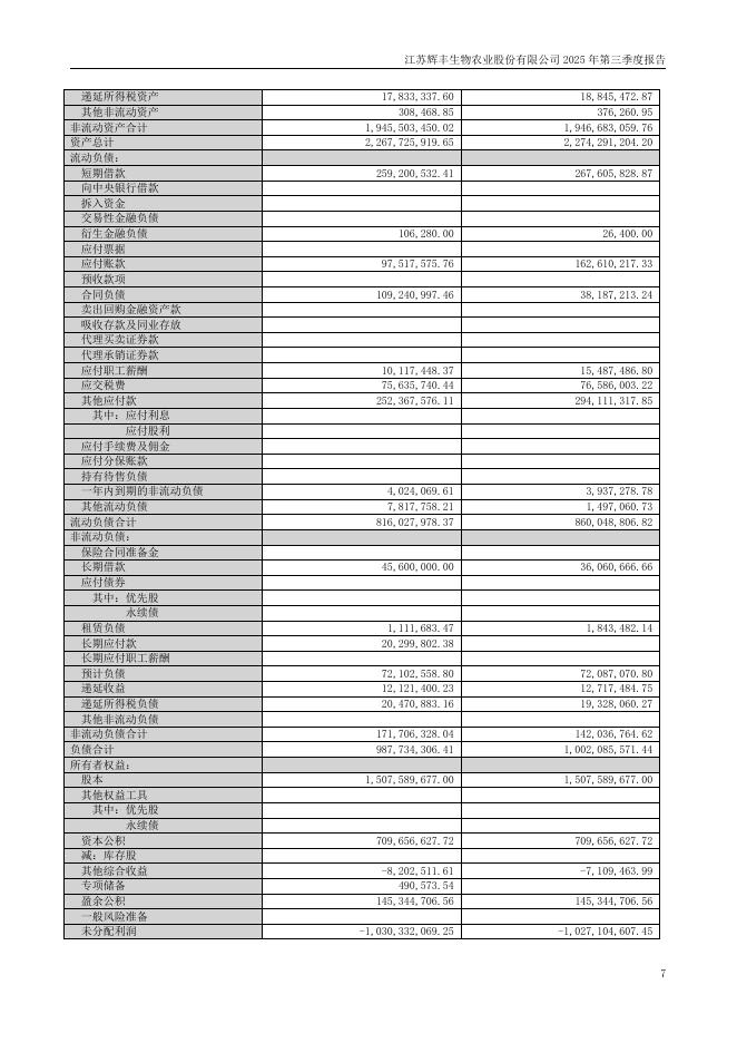 002496-*ST辉丰：2025年第三季度报告(更新后)_第7页