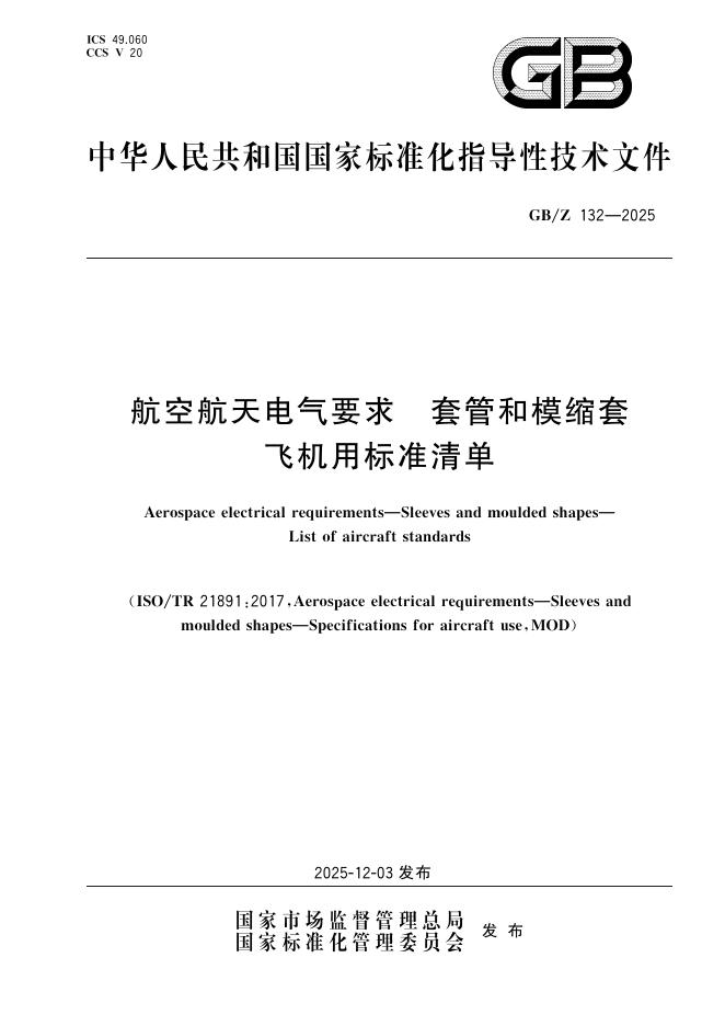GB/Z 132-2025 标准预览