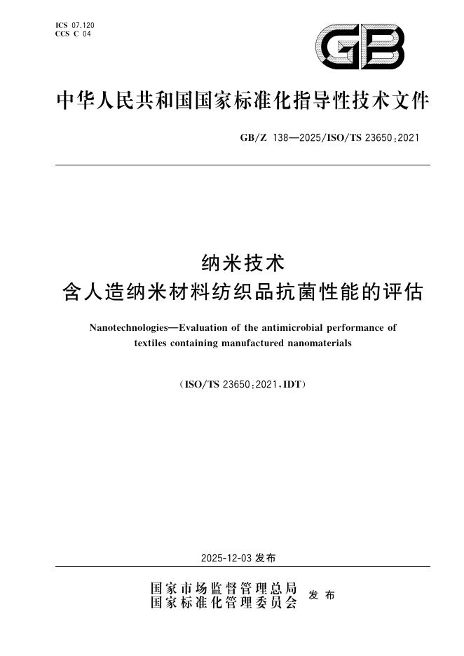 GB/Z 138-2025 标准预览