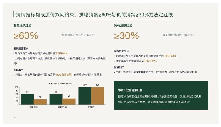 政策解读与合规指引-2026年绿电直连项目：七大投资刚性要求与合规红线_第9页