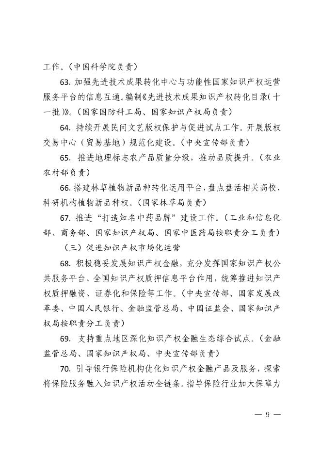 2026年知识产权强国建设推进计划_第9页