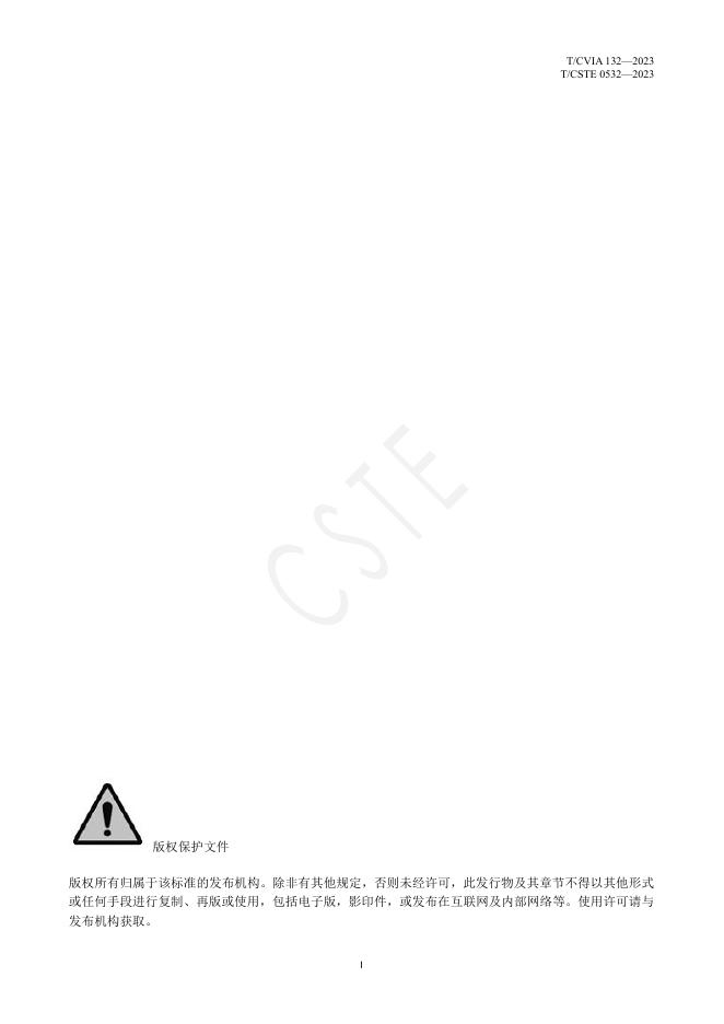 T/CVIA 132-2023 标准预览