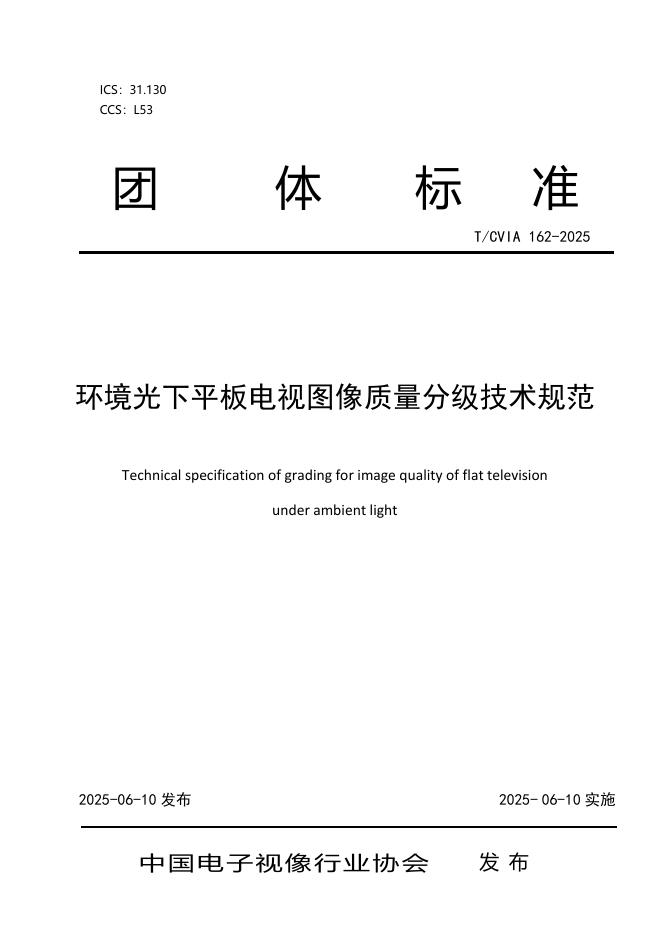 T/CVIA 162-2025 标准预览