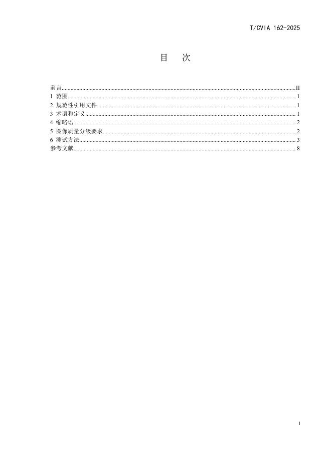 T/CVIA 162-2025 标准预览