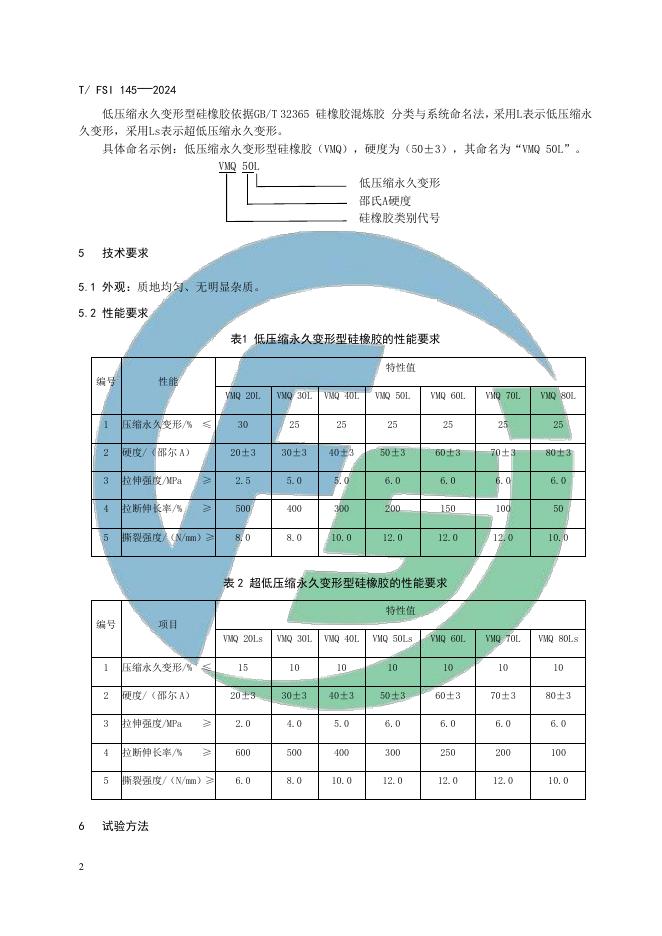 T/FSI 145-2024 标准预览