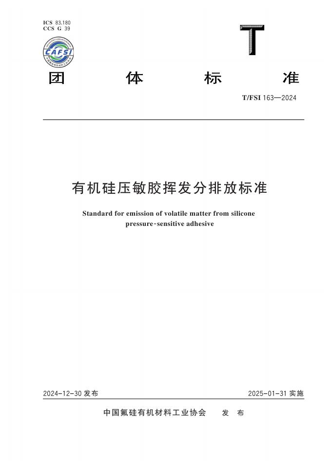 T/FSI 163-2024 标准预览