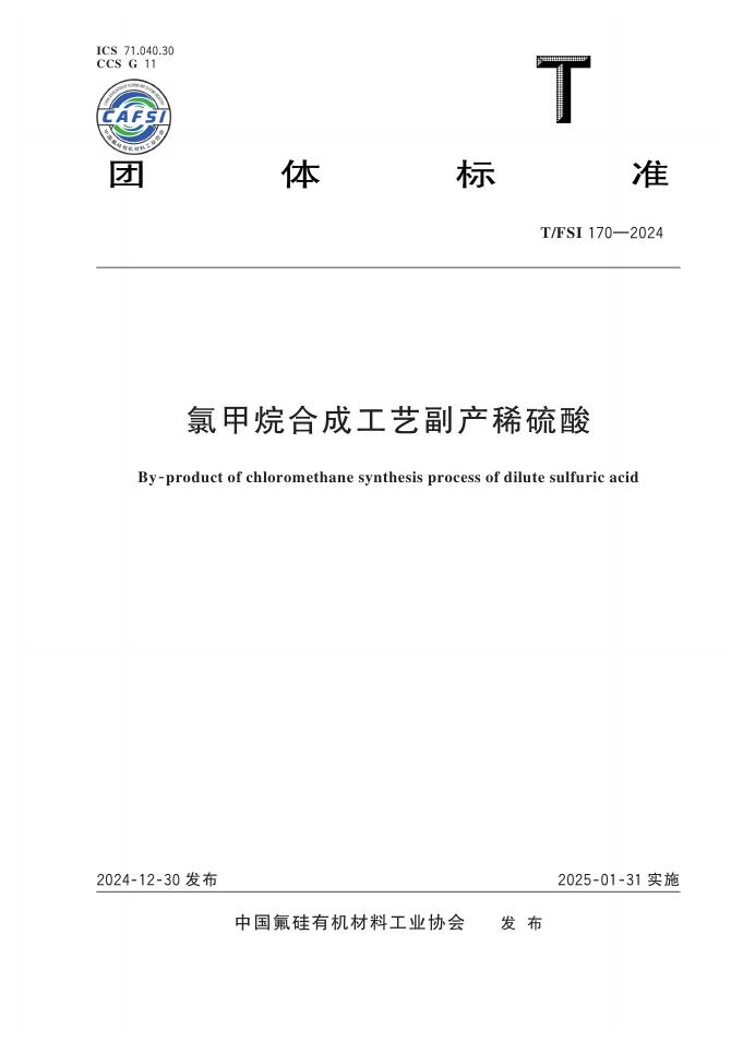 T/FSI 170-2024 标准预览