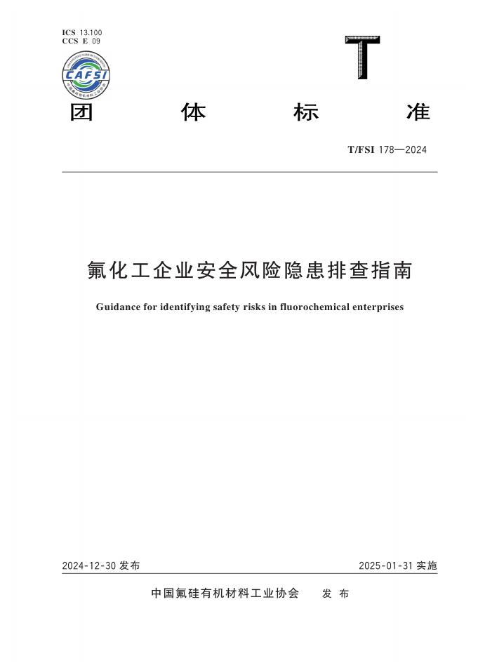 T/FSI 178-2024 标准预览