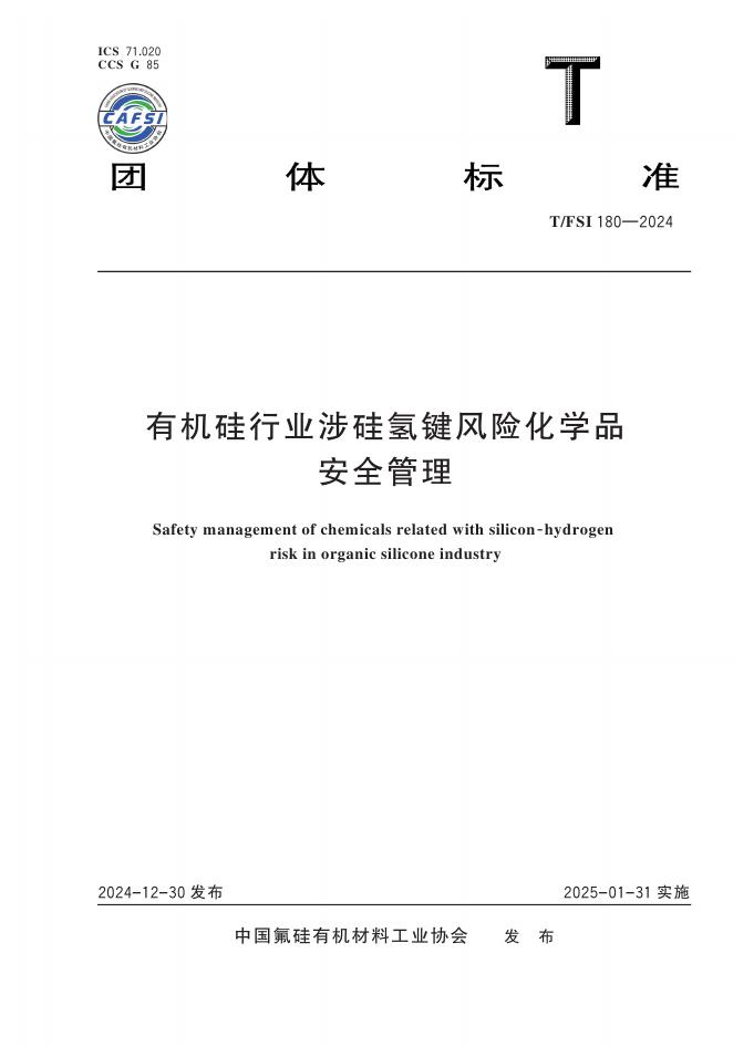 T/FSI 180-2024 标准预览