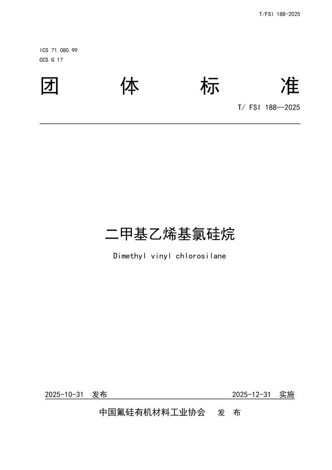 T/FSI 188-2025 标准预览