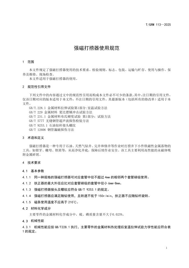T/GRM 113-2025 标准预览