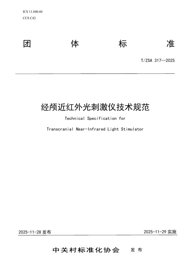 T/ZSA 317-2025 标准预览