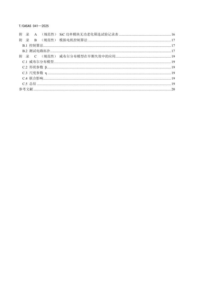 T/CASAS 041-2025 标准预览