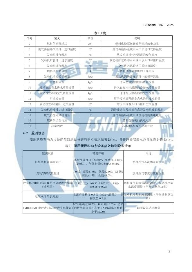 T/CSNAME 189-2025 标准预览