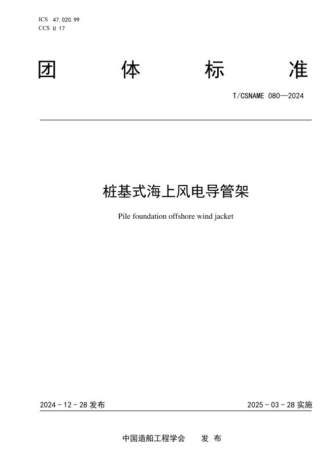 T/CSNAME 080-2024 标准预览
