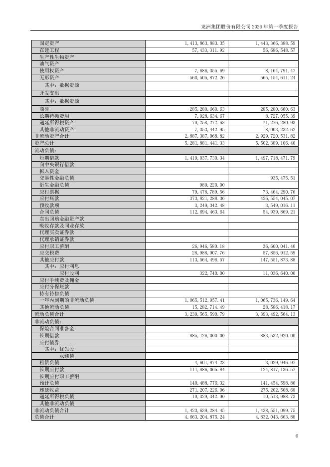 002682-龙洲股份：2026年一季度报告_第6页
