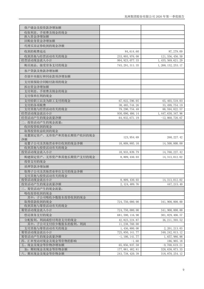 002682-龙洲股份：2026年一季度报告_第9页