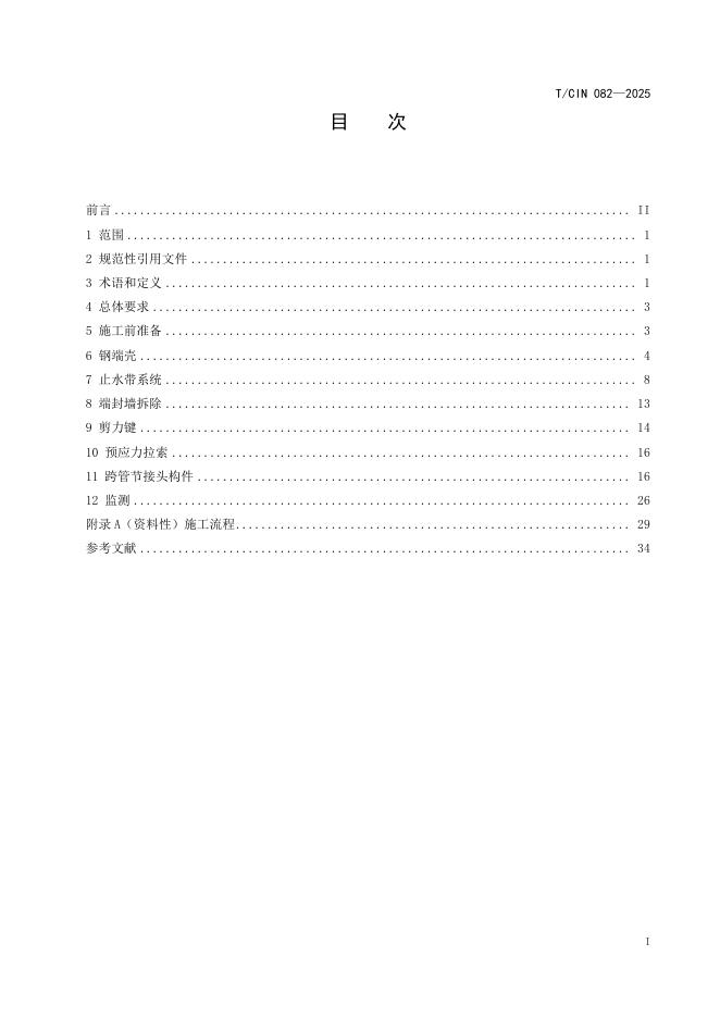 T/CIN 082-2025 标准预览