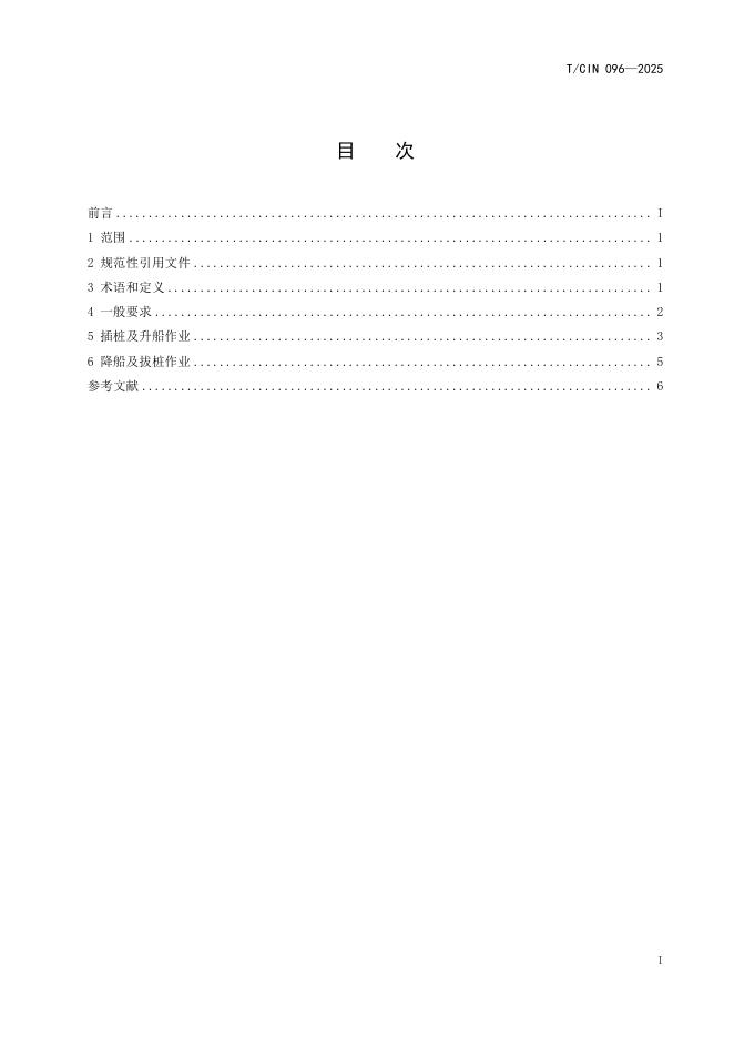 T/CIN 096-2025 标准预览