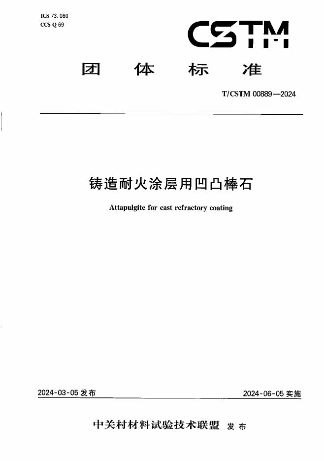 T/CSTM 00889-2024 标准预览