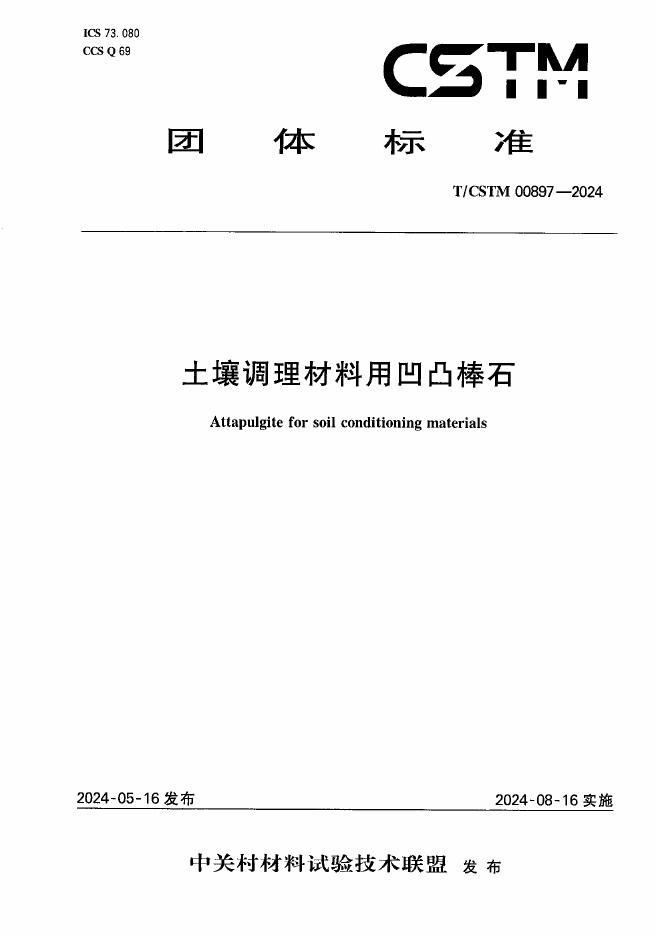 T/CSTM 00897-2024 标准预览