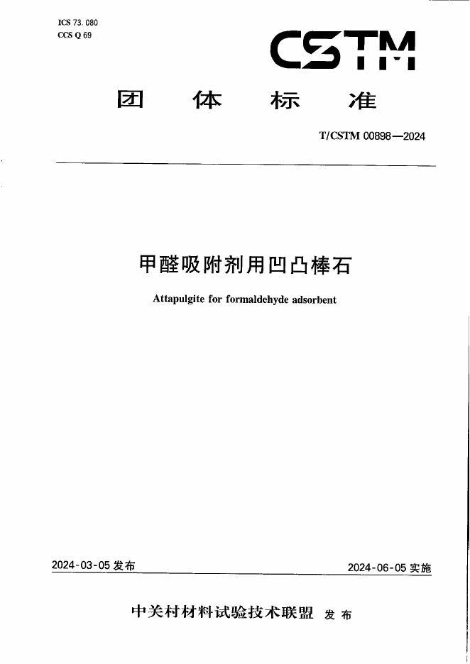 T/CSTM 00898-2024 标准预览
