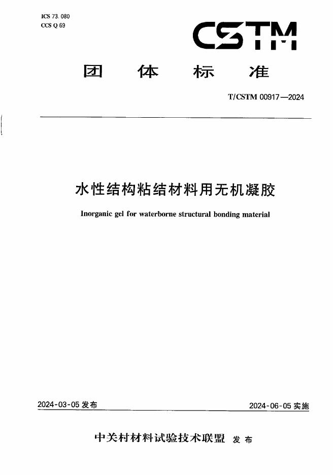 T/CSTM 00917-2024 标准预览
