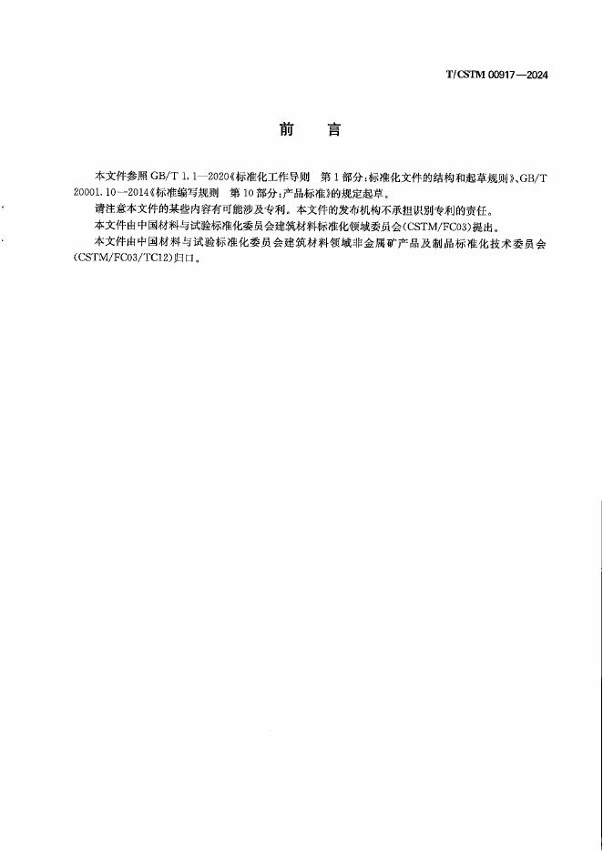 T/CSTM 00917-2024 标准预览