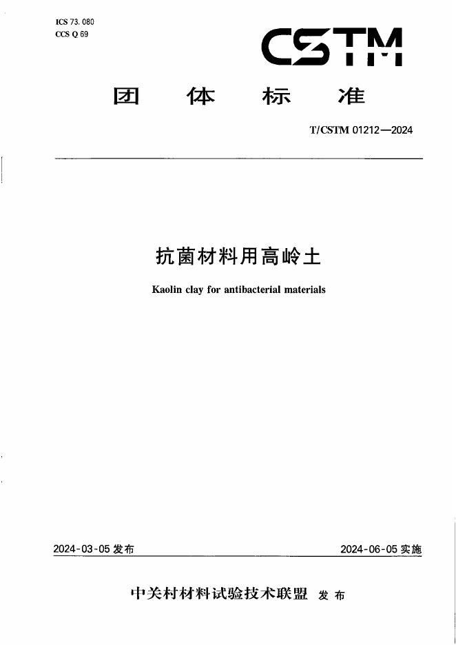T/CSTM 01212-2024 标准预览