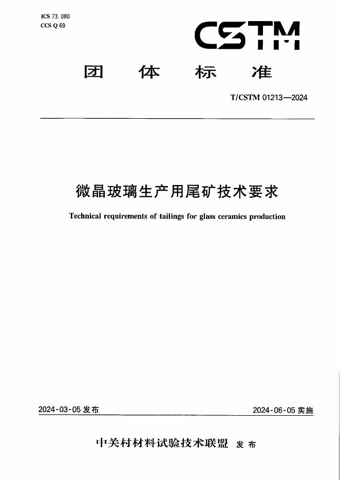 T/CSTM 01213-2024 标准预览