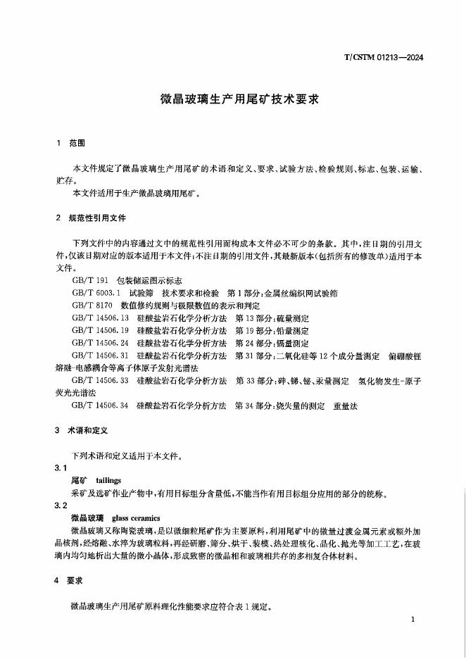 T/CSTM 01213-2024 标准预览
