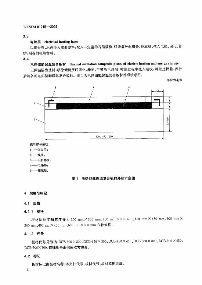 T/CSTM 01215-2024 标准预览