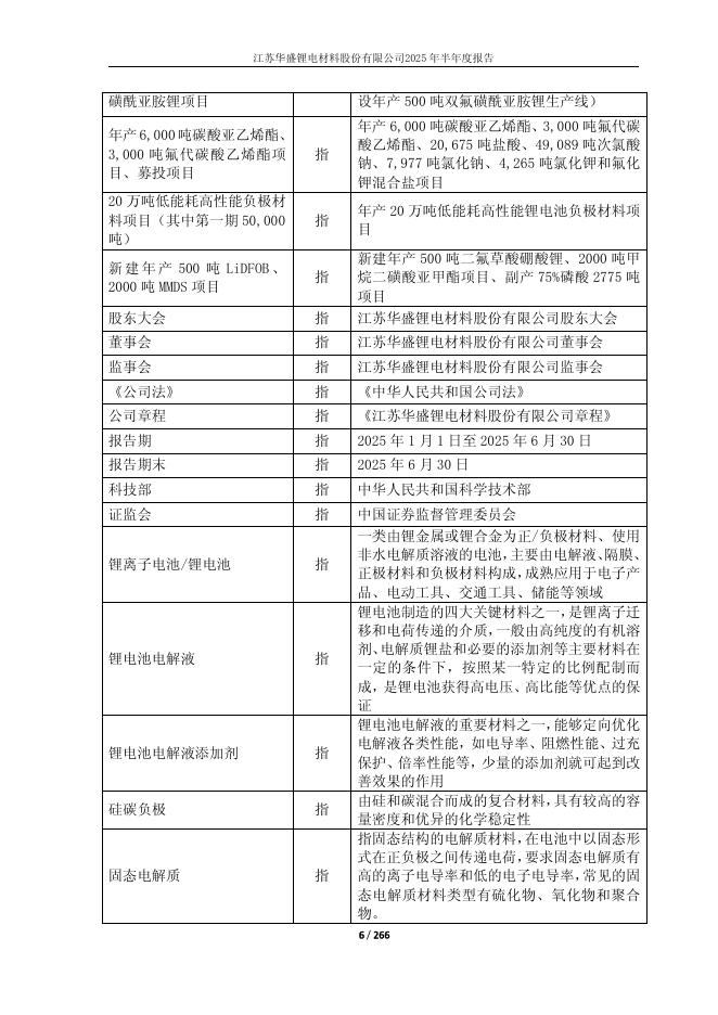 688353-华盛锂电：江苏华盛锂电材料股份有限公司2025年半年度报告(更正后)_第6页