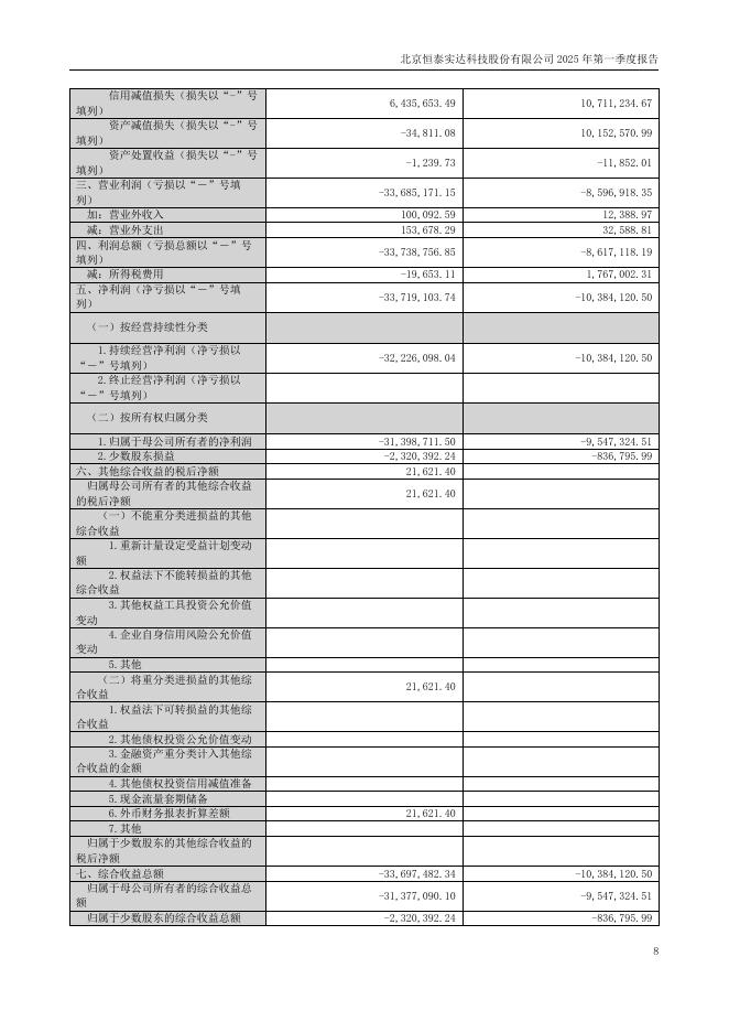 300513-恒实科技：2025年第一季度报告(更正后)_第8页