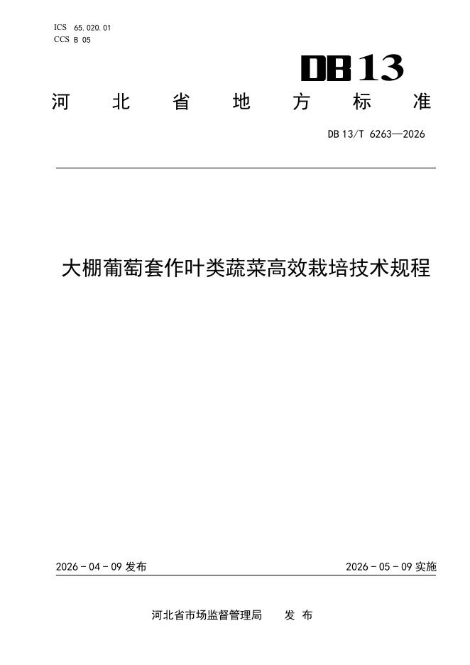 DB13/T 6263-2026 大棚葡萄套作叶类蔬菜高效栽培技术规程