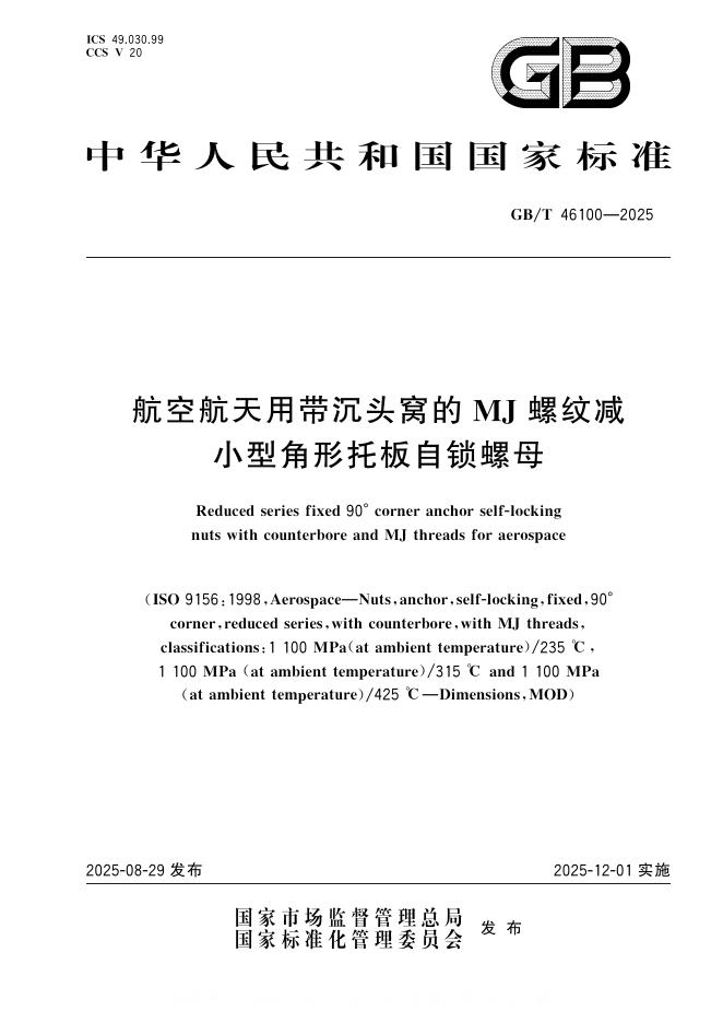 GB/T 46100-2025 标准预览