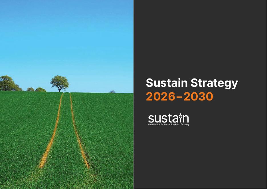 sustain：2026-2030年可持续战略报告（英文版）海报